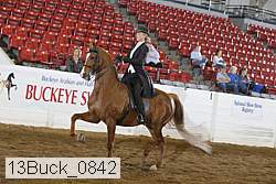 13buck_0842 proof