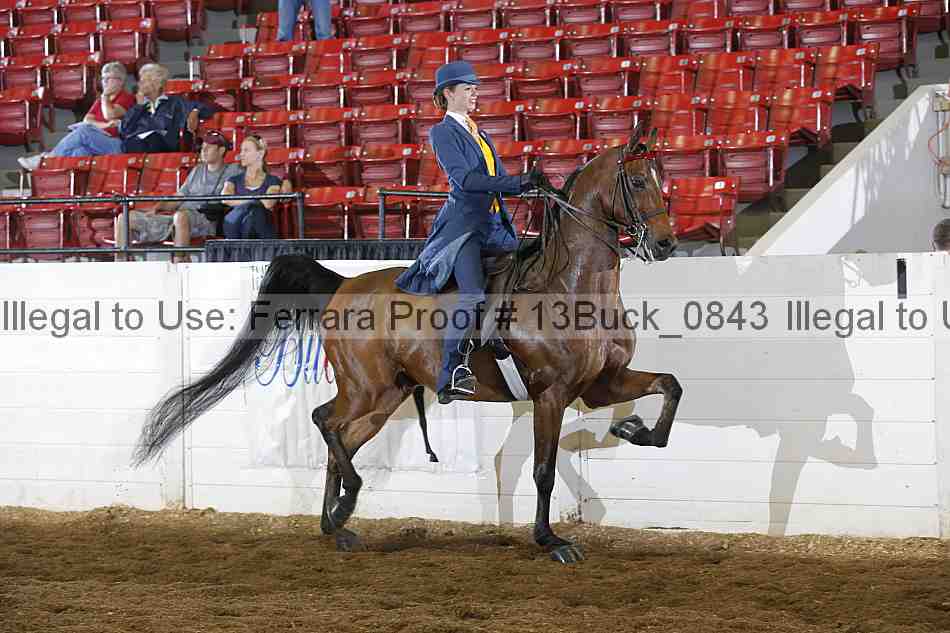 Proof 13buck_0843