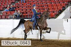 13buck_0843 proof