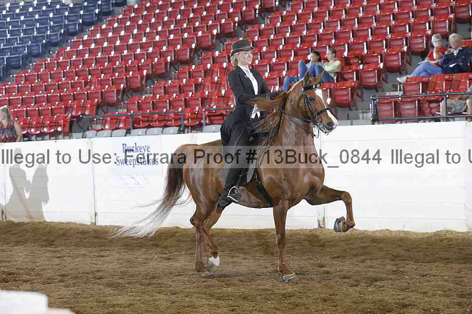 Proof 13buck_0844