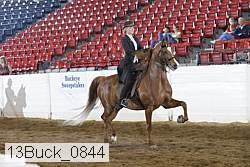 13buck_0844 proof