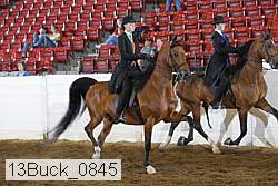 13buck_0845 proof