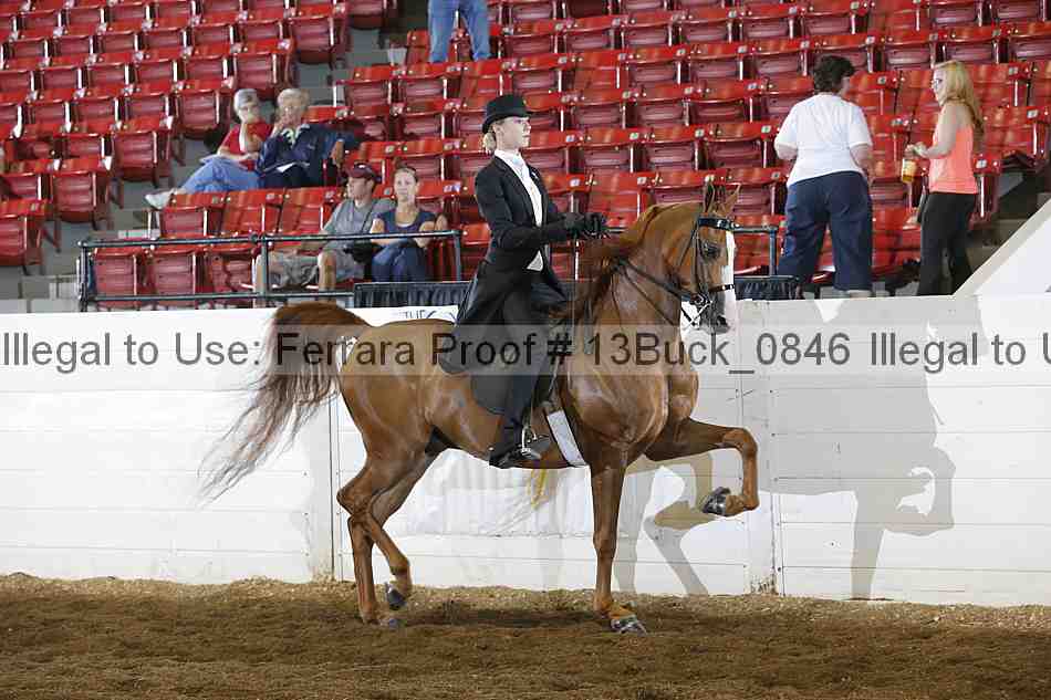 Proof 13buck_0846