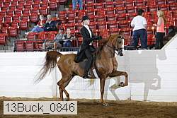 13buck_0846 proof