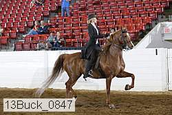 13buck_0847 proof