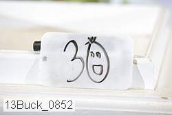 13buck_0852 proof