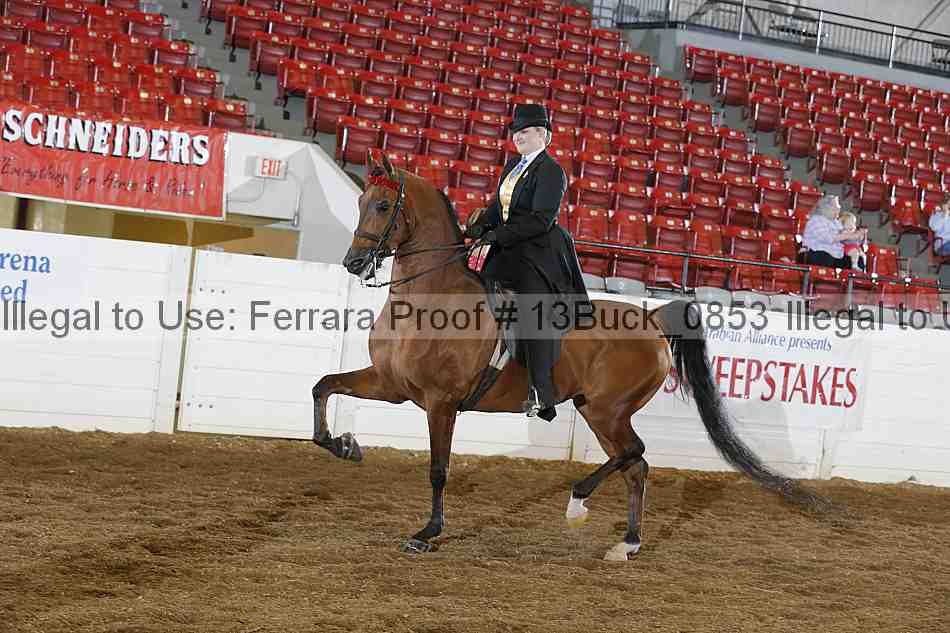 Proof 13buck_0853