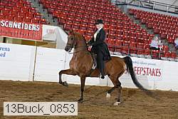 13buck_0853 proof