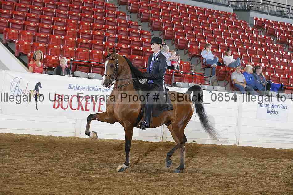Proof 13buck_0854