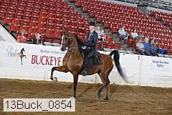 13buck_0854 proof