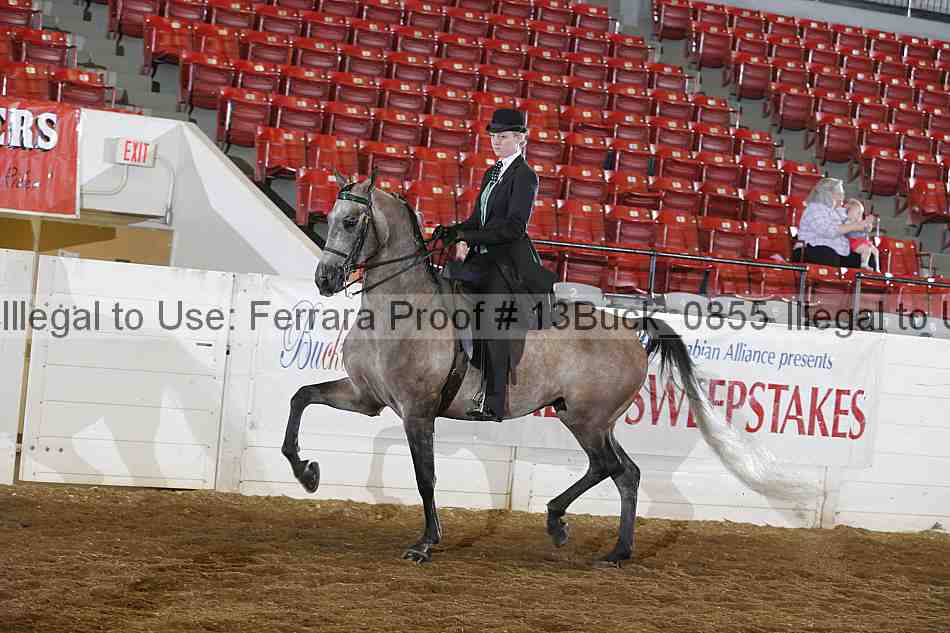 Proof 13buck_0855