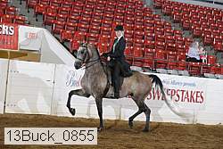 13buck_0855 proof