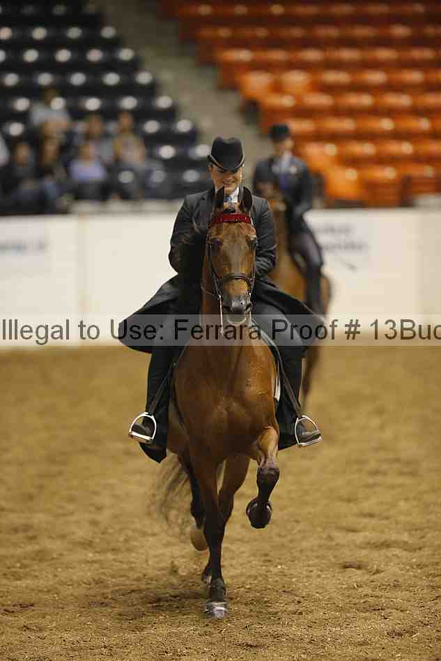Proof 13buck_0856