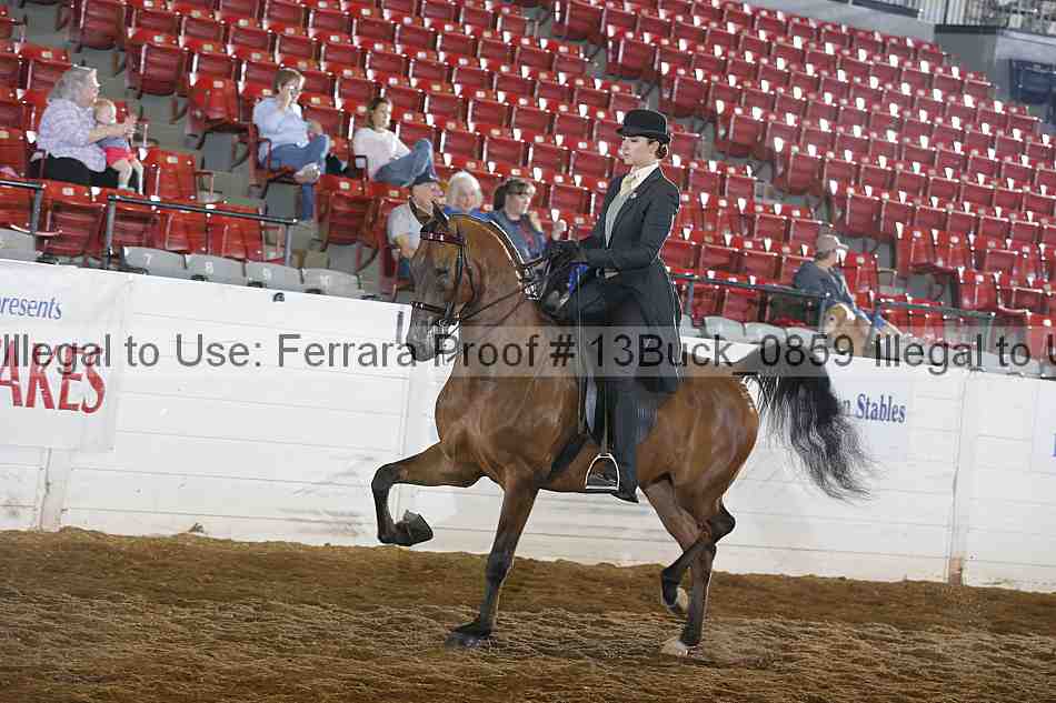 Proof 13buck_0859