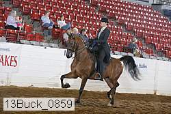 13buck_0859 proof