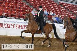 13buck_0861 proof