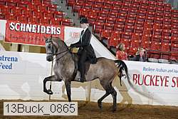 13buck_0865 proof