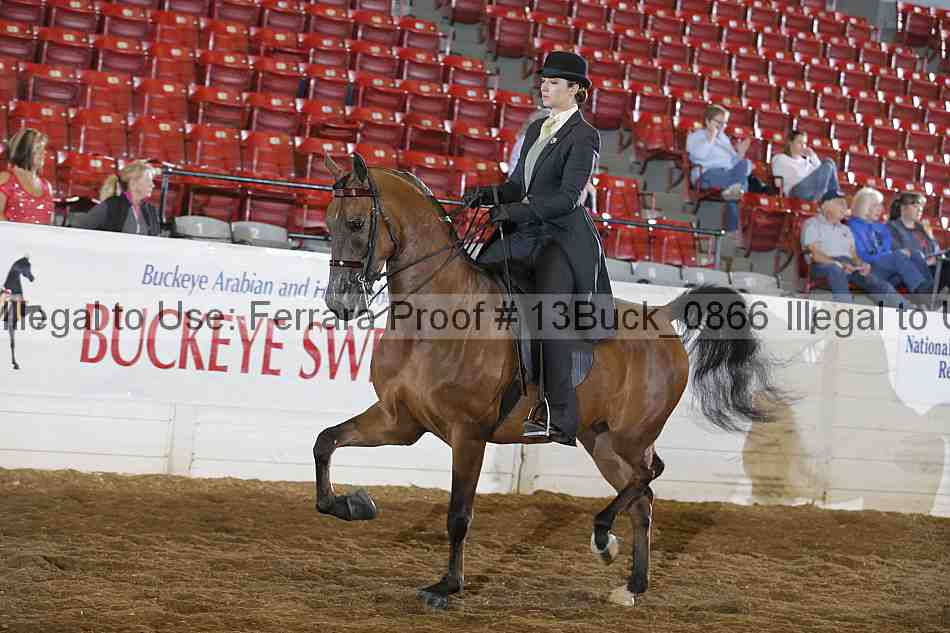 Proof 13buck_0866