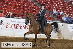 13buck_0866 proof