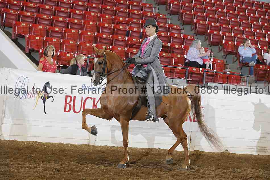 Proof 13buck_0868