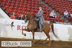 13buck_0868 proof
