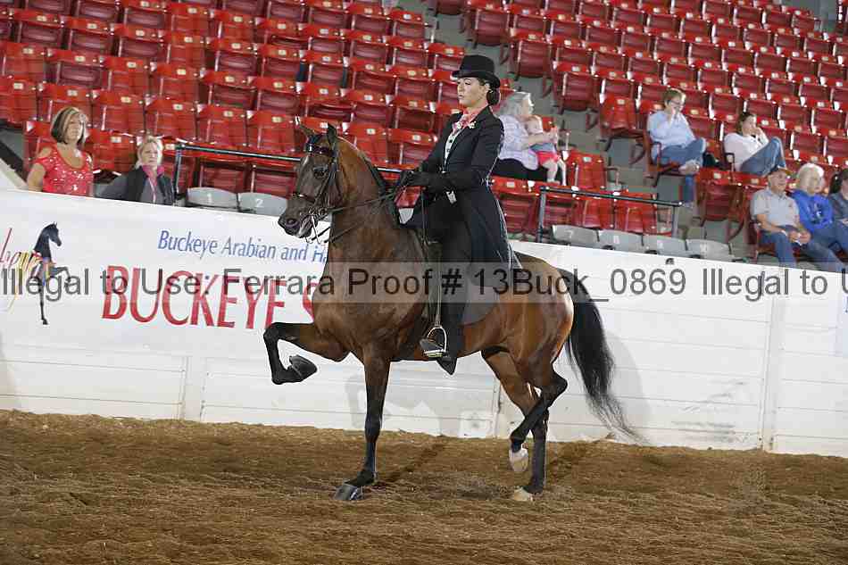 Proof 13buck_0869
