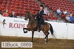 13buck_0869 proof