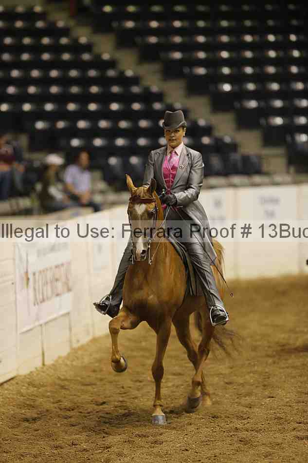 Proof 13buck_0872