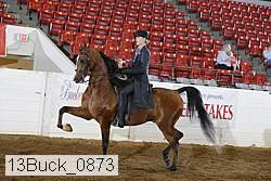 13buck_0873 proof