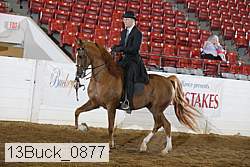 13buck_0877 proof