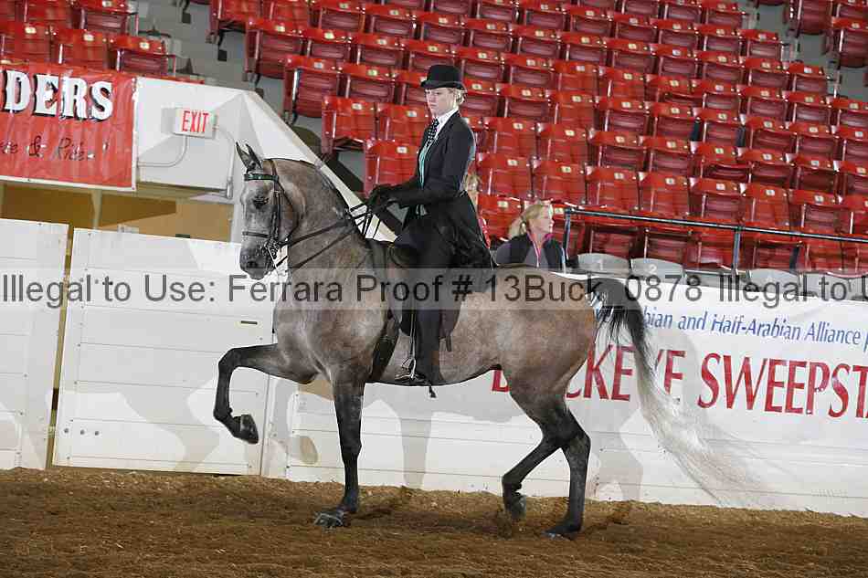 Proof 13buck_0878