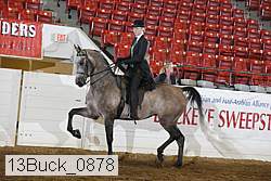 13buck_0878 proof
