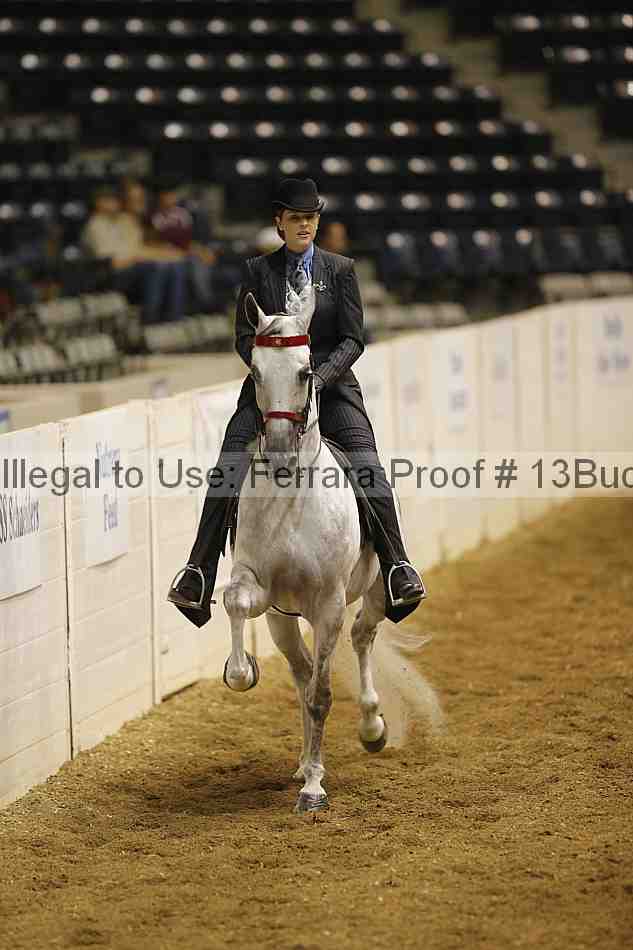 Proof 13buck_0879