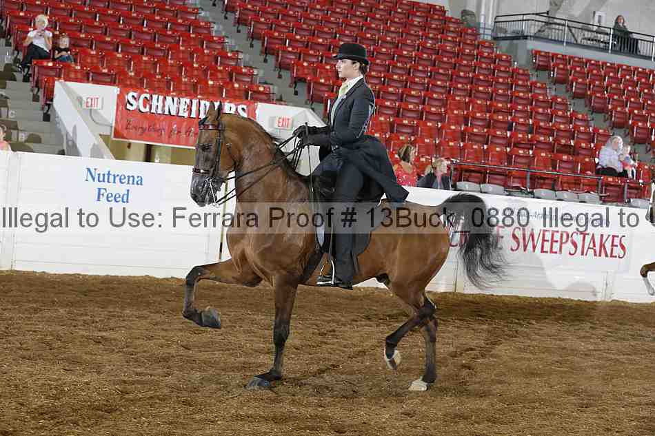 Proof 13buck_0880