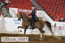 13buck_0881 proof
