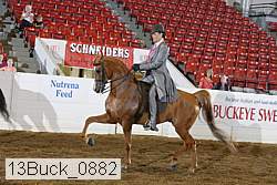 13buck_0882 proof