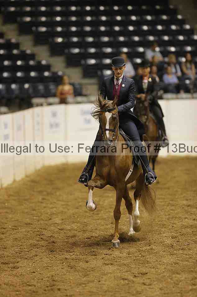 Proof 13buck_0883
