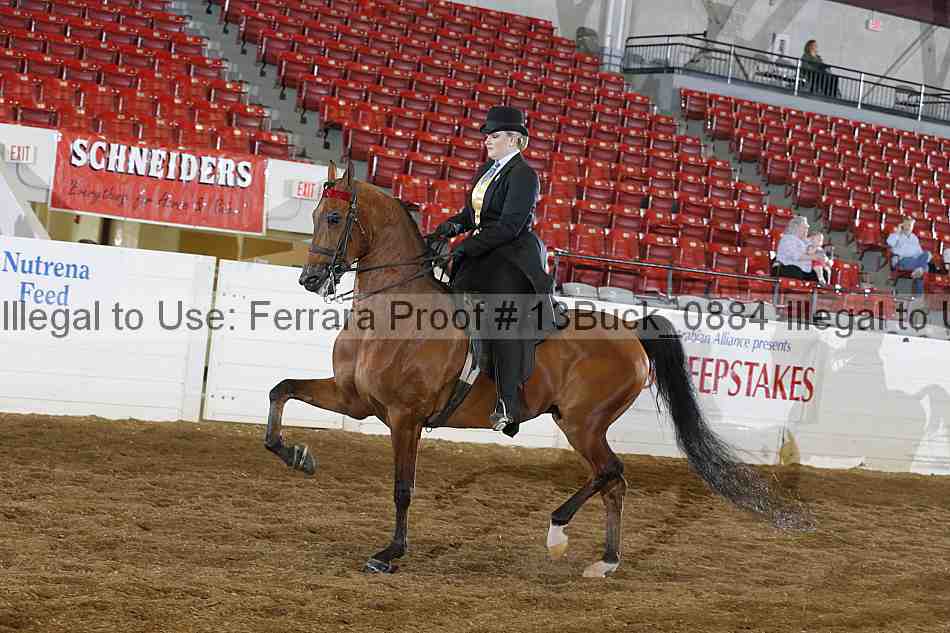 Proof 13buck_0884