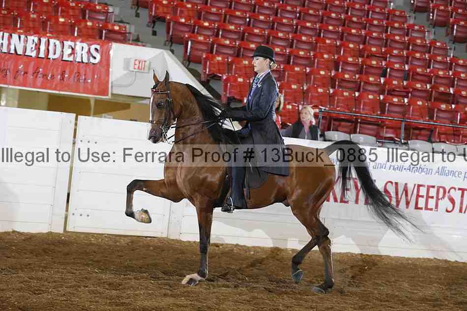 Proof 13buck_0885