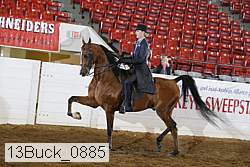 13buck_0885 proof