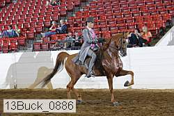 13buck_0886 proof