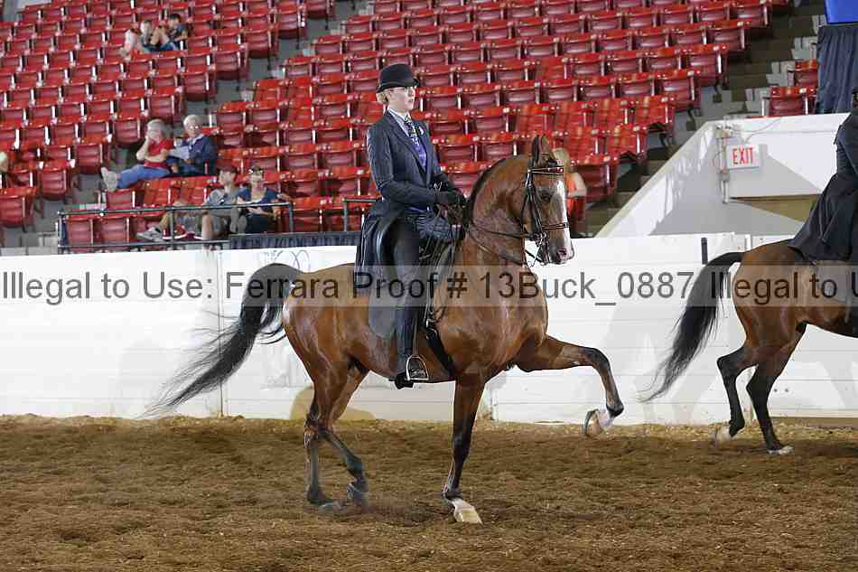 Proof 13buck_0887