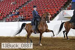 13buck_0887 proof