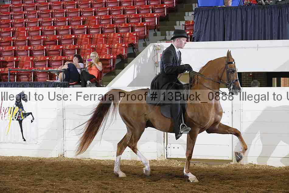 Proof 13buck_0888