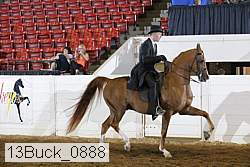 13buck_0888 proof