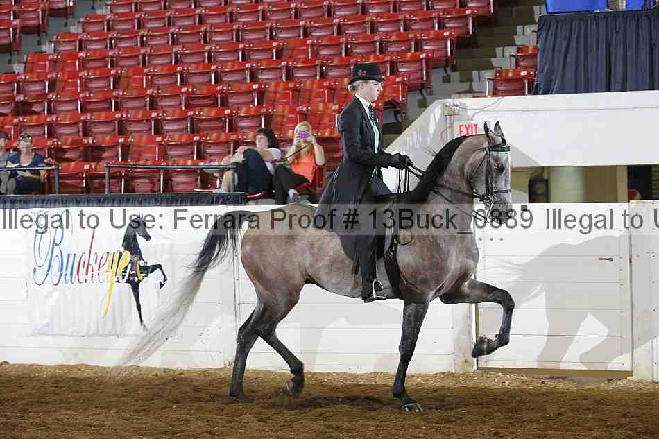 Proof 13buck_0889