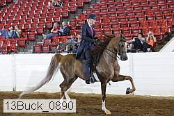 13buck_0890 proof