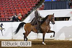 13buck_0891 proof