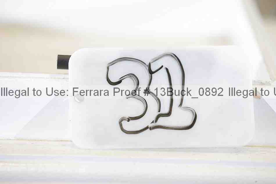 Proof 13buck_0892