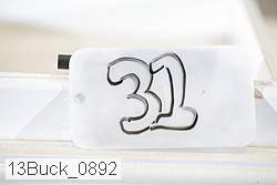 13buck_0892 proof